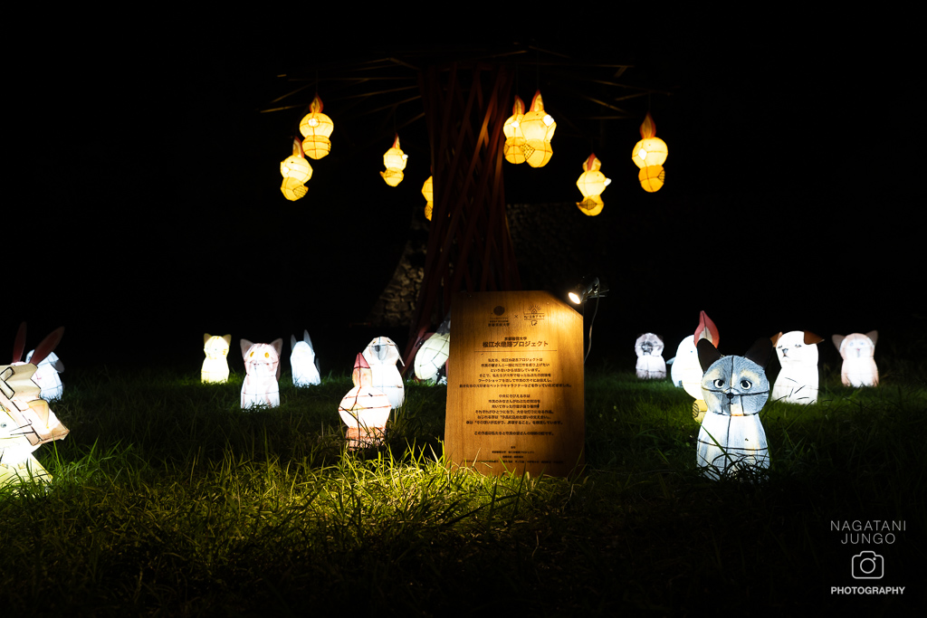 松江ヨアカリ × 水燈路 2025